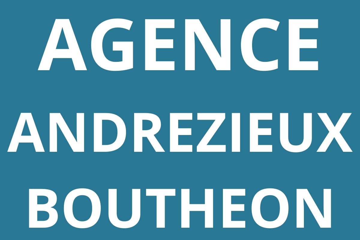 logo-AGENCE-Agence-Pole-emploi-ANDREZIEUX-BOUTHEON