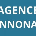 logo-AGENCE-Agence-Pole-emploi-ANNONAY