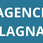 logo-agence-pole-emploi-BLAGNAC