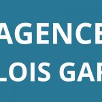 logo-agence-pole-emploi-BLOIS-GARE