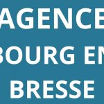 logo-agence-pole-emploi-BOURG-EN-BRESSE