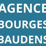 logo-agence-pole-emploi-BOURGES-BAUDENS