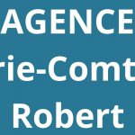 logo-agence-pole-emploi-Brie-Comte-Robert