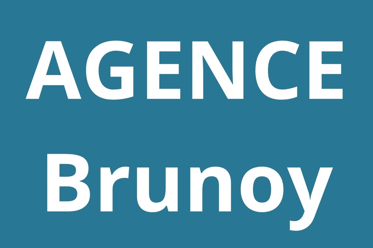 logo-agence-pole-emploi-Brunoy