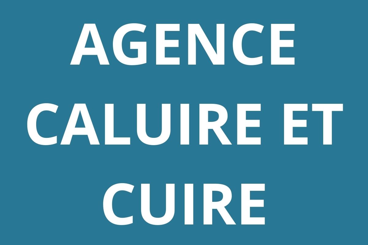 logo-agence-pole-emploi-CALUIRE-ET-CUIRE