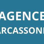 logo-agence-pole-emploi-CARCASSONNE