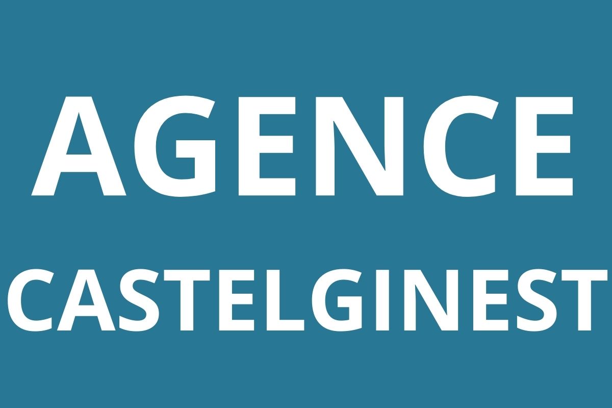 logo-agence-pole-emploi-CASTELGINEST