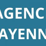 logo-agence-pole-emploi-CAYENNE