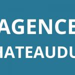 logo-agence-pole-emploi-CHATEAUDUN