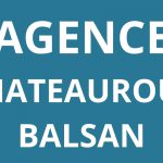logo-agence-pole-emploi-CHATEAUROUX-BALSAN