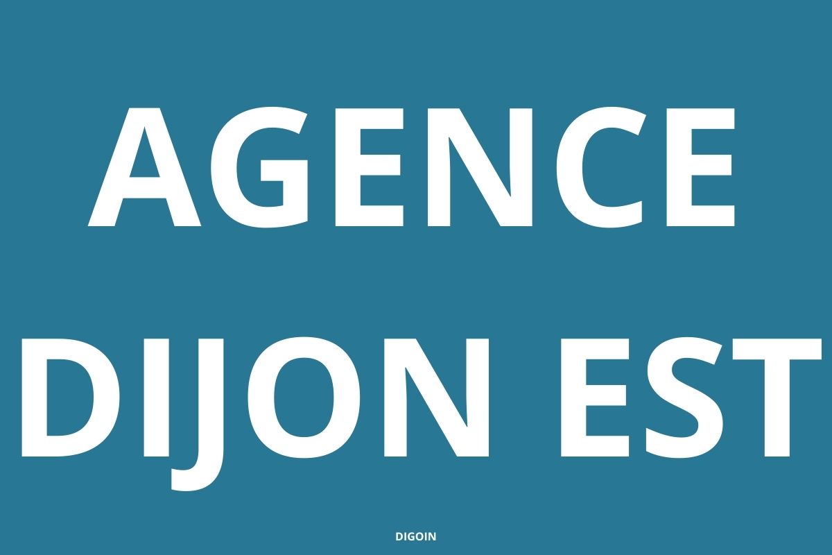 logo-agence-pole-emploi-DIJON-EST
