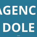 logo-agence-pole-emploi-DOLE