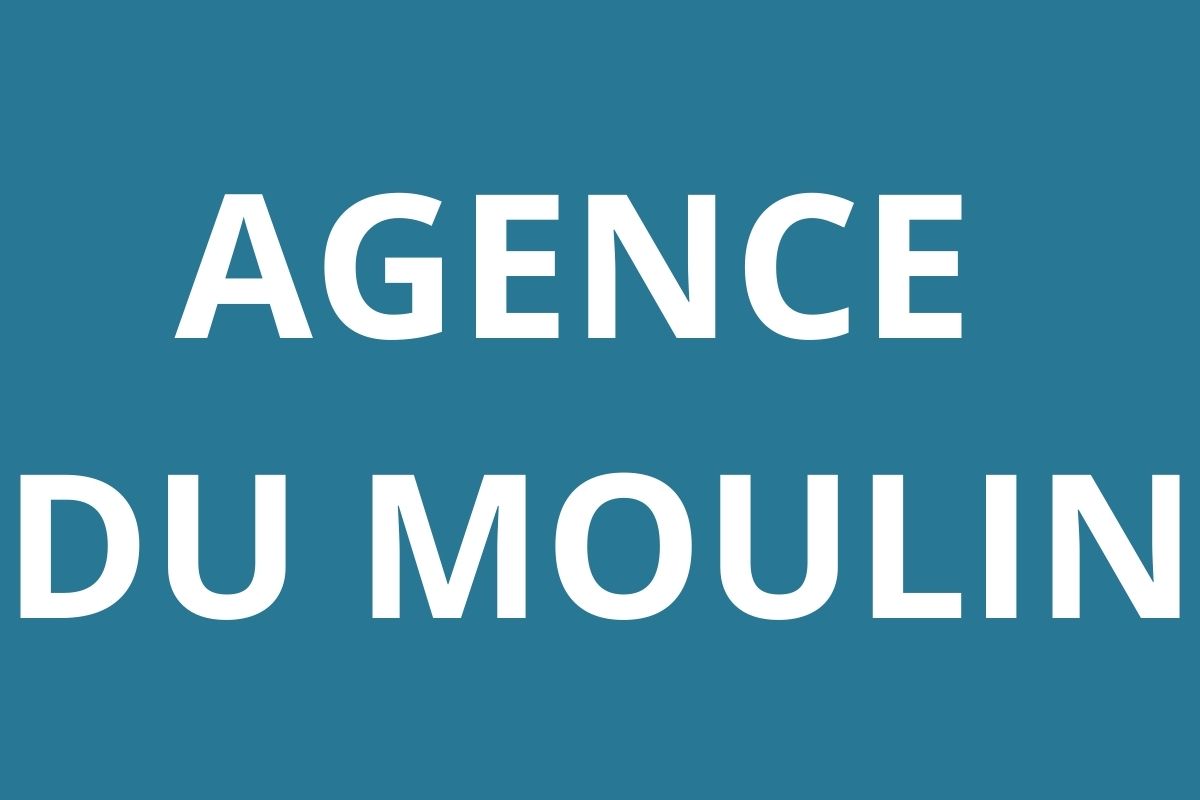 logo-agence-pole-emploi-DU-MOULIN