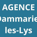 logo-agence-pole-emploi-Dammarie-les-Lys