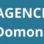 logo-agence-pole-emploi-Domont