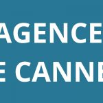 logo-agence-pole-emploi-LE-CANNET