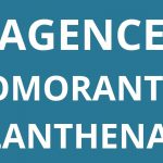 logo-agence-pole-emploi-ROMORANTIN-LANTHENAY