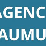 logo-agence-pole-emploi-SAUMUR