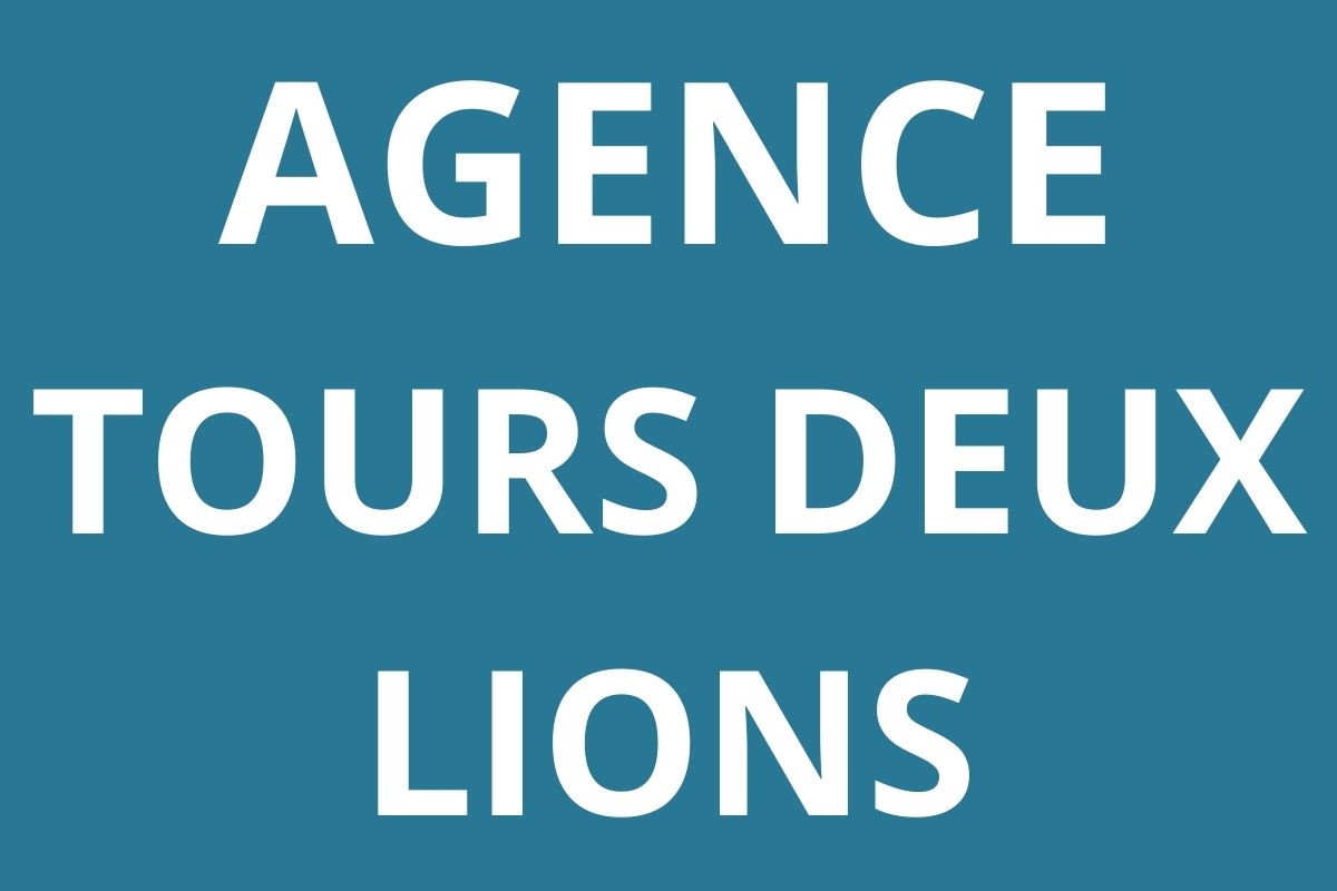 logo-agence-pole-emploi-TOURS-DEUX-LIONS