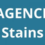 logo-agence-pole-Stains